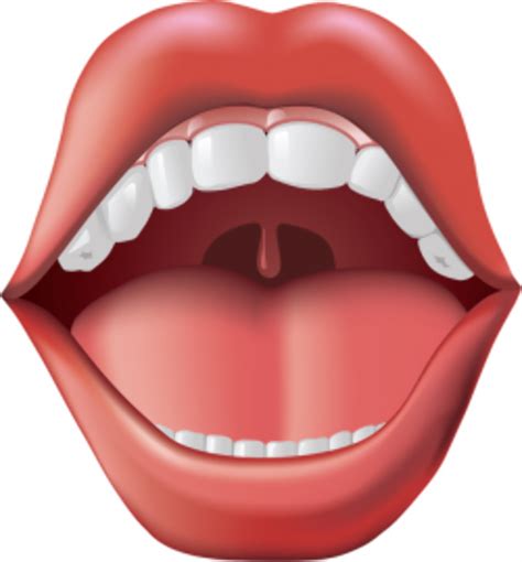 Download High Quality Mouth Clipart Boy Transparent Png Images Art