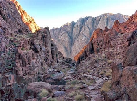 Mount Sinai Sunrise Tour Tourist Journey