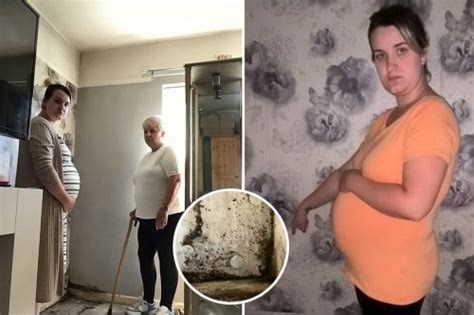 Pregnant Woman And Disabled Mum Demand New Council House Over Mould Infestation Flipboard