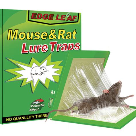 Oem Mouse And Insect Glue Trap 145 Kgs Catcher Sticky Rat Traps