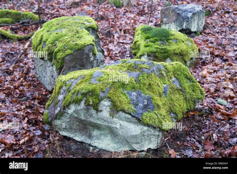 Three Large Rocks Covered In Moss Stock Photo Alamy