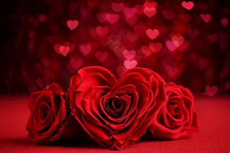 Download Romantic Heart Shaped Rose Flower Red Rose Red Flower Red Bokeh Holiday Valentine S Day