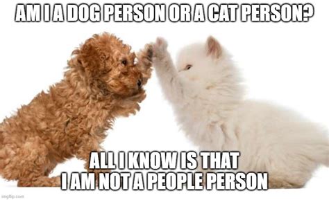 Image Tagged In Cat Dogcat Persondog Person Imgflip