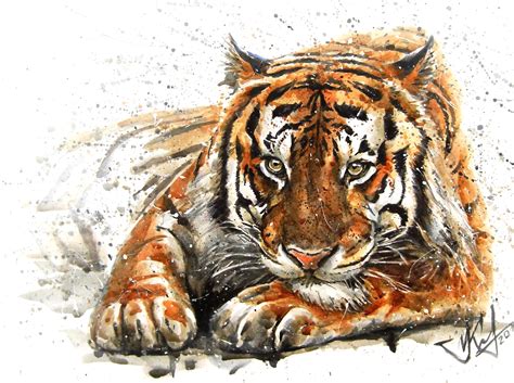 Tiger Watercolor Painting By Konstantin Kalinin On Dribbble