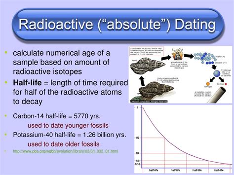 Radiocarbon dating is possible because of the existence in nature of the radioactive isotope 14 c (albeit in small quantities; PPT - Chapter 19: The History of Life PowerPoint ...