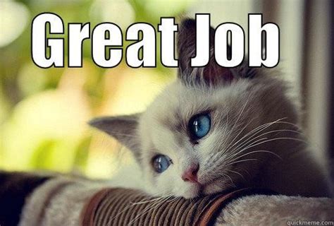 Great Job Meme Cat 0 Polite Cat Wishes You Agood Luck For Next Post