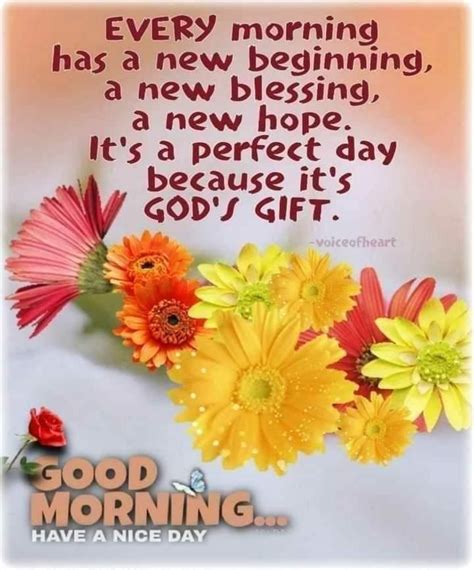 Good Morning Wishes🥰 Christian Good Morning Quotes Good Morning Life