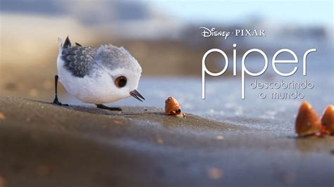 Assistir A Piper Descobrindo O Mundo Filme Completo Disney