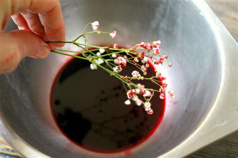 Madame Heather: How to naturally dye baby's breath #DIY