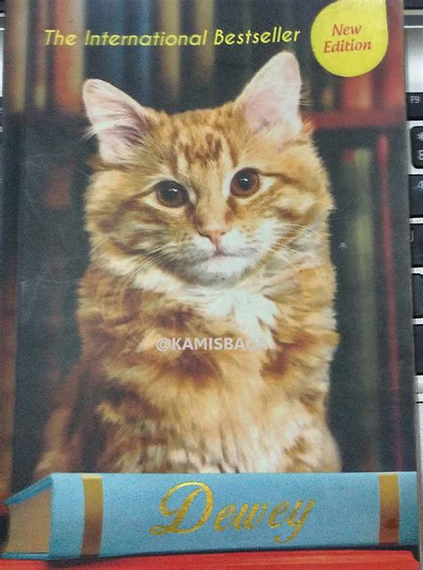 Kumpulan cerita dewasa daun muda terbaru,cerita dewasa hot. Review Buku Dewey: Kucing Perpustakaan Kota Kecil yang ...
