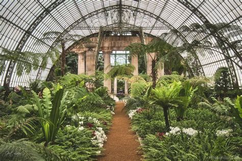 Image Of Royal Greenhouses Laeken By Gert Lucas 1019565