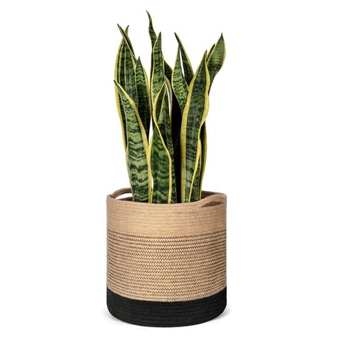 Gifts for plant lovers india. 23 Fantastic Gifts For Plant Lovers - Birthday Inspire