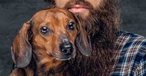 What The Bark Study Shows Mens Beards Carry More Harmful Bacteria