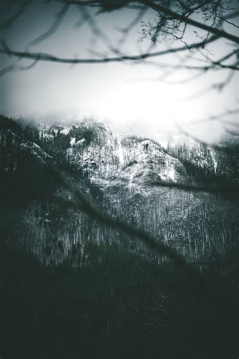 Mountain Slope Fog Trees Snow Hd Phone Wallpaper Peakpx