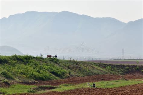North Korea Countryside Editorial Photography Image Of Agriculture