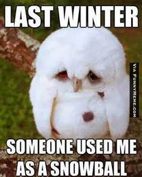 55 Funny Winter Memes That Are Relatable If You Hate Snowstorms