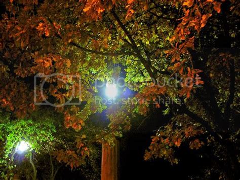 Autumn Night Photo By Tsahlai Photobucket