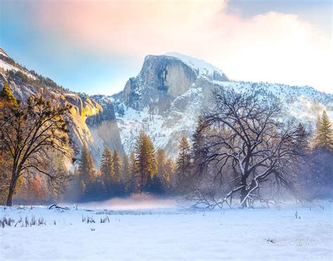 Large Yosemite Print Winter Home Decor California Snow Photo Half