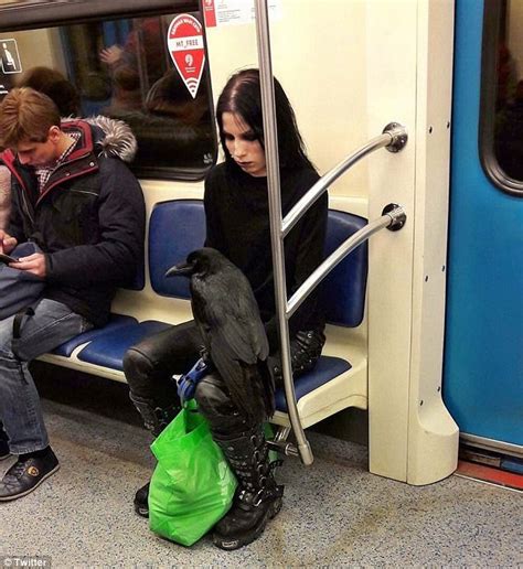 Goth Woman Sits On Subway With Raven On Lap Photo
