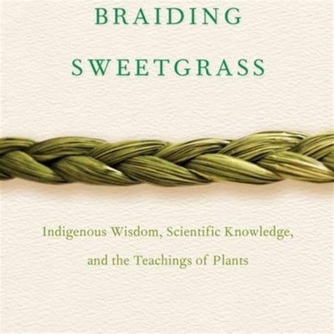 Stream Read 📗 Braiding Sweetgrass Indigenous Wisdom Scientific