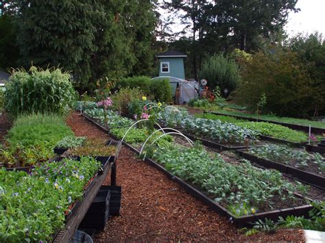 Original Love Apple Farms In Ben Lomond California Raised Garden Beds