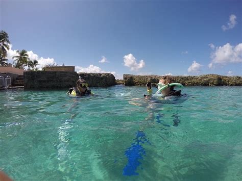 Grand Cayman Eco Divers George Town Aktuelle 2021 Lohnt Es Sich