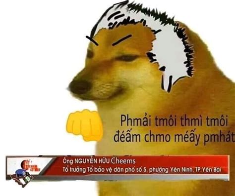 Tổng Hợp 100 Meme Cheems Thú Vị Siêu Hài Hước Innnewyorkcity Vn