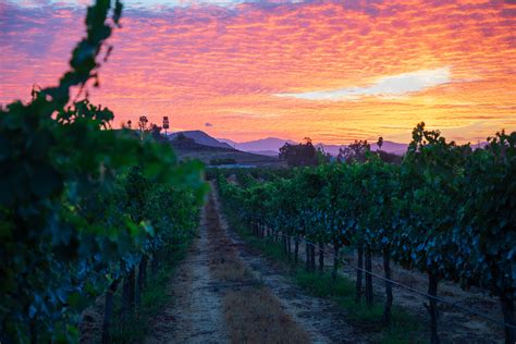 Visit Temecula Valley Announces A Dozen Best Places To Watch Late