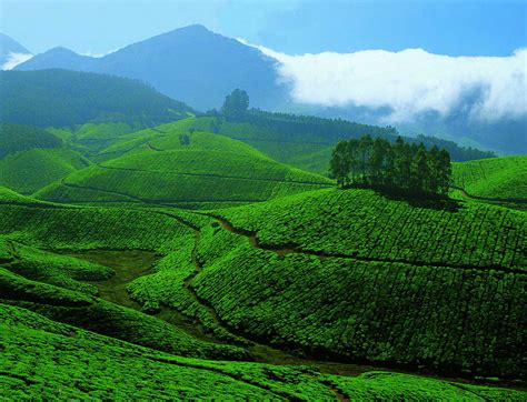 3 Days 2 Nights In Munnar No1 Holiday And Tour Provider In Kerala