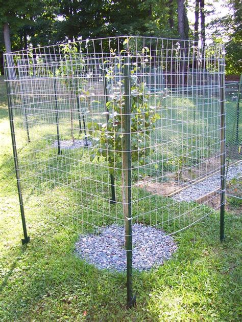 When cabling the fence use large u nails as a channel for the cable to pass through at each tree. raised garden fence ideas to keep deer out | | Tree garden ...