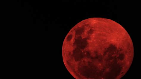 Red Moon Stock Footage Video 100 Royalty Free 5091779 Shutterstock