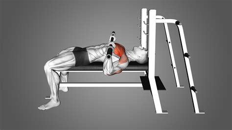 Bench Press Arch The Purpose Explained Inspire Us
