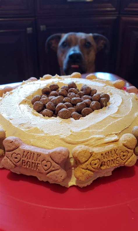 Home dog food recipes recipe: Instant Pot Homemade Dog Treat Cake | Recipe (With images ...
