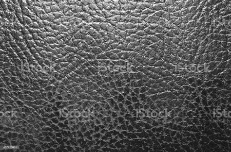 Close Up Of Black And White Leather Texture Stock Photo Download