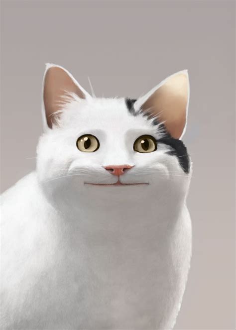 Polite Cat Meme Poster Picture Metal Print Paint By Mashz Displate
