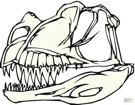 Select from 35919 printable coloring pages of cartoons, animals, nature, bible and many more. Dinosaur Skeleton Drawing at GetDrawings | Free download