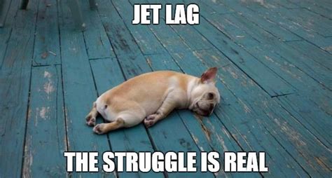 how to combat jet lag thoracic and sleep group queensland