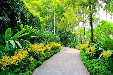 Singapore Botanic Gardens Walking Paths Hd Wallpaper Wallpaperbetter