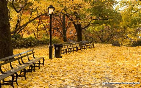 Central Park Daydreaming Destinations Autumn In New York Nature