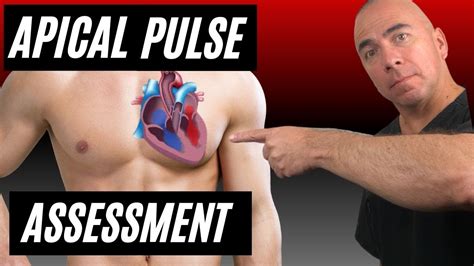 Apical Pulse Assessment How To Assess The Apical Pulse Youtube