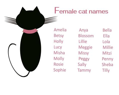 Black Cat Name Ideas