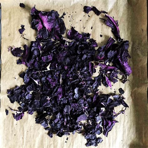 The Process Of Dyeing With Red Cabbage Novo Natural Dye Facebook