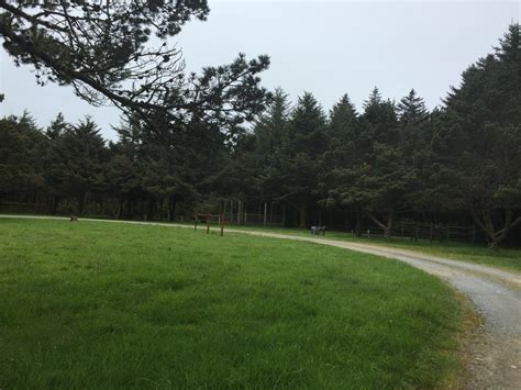 Maybe you would like to learn more about one of these? Cape Blanco State Park Campground - Oregon Coast Visitors ...