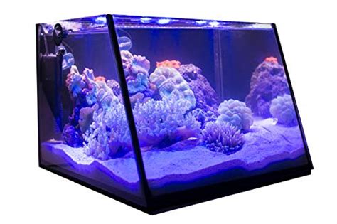 Top Fish Tank With Built In Filter Our Picks Bestweldinggears