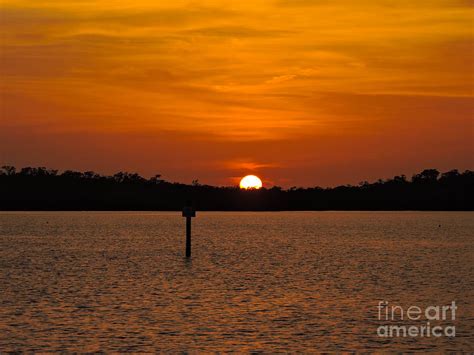 The Orb Photograph By Marilee Noland Fine Art America