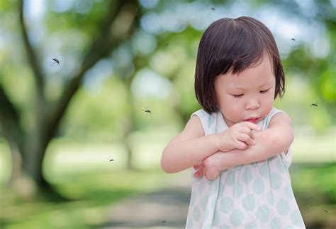 Faktencheck fiebermittel baby und familie. ᐅ Dengue-Fieber bei Babys und Kleinkindern