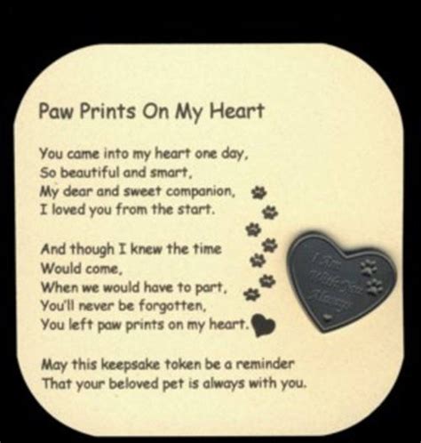 Paw Prints On My Heart Poem And Pocket Token Pet Sympathy T Etsy