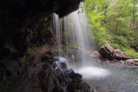 Grotto Falls In The Great Smoky Mountains National Park Stock Image