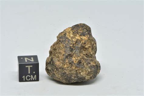 Dhofar 007 2305g Explore Meteorite