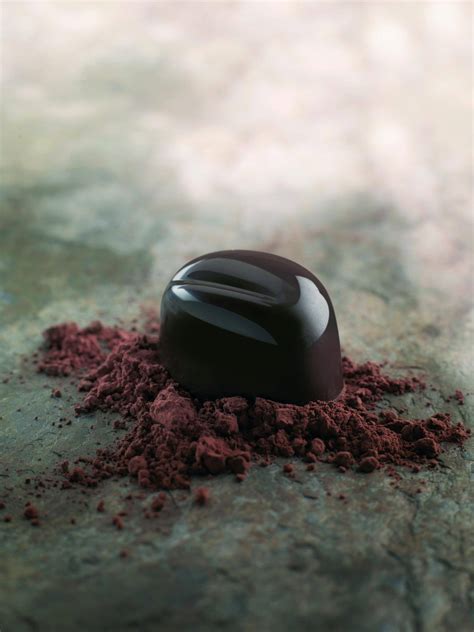 Natural Dark Cocoa Powder Barry Callebaut